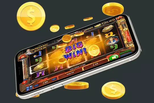 mb8 online